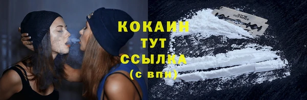 индика Верея