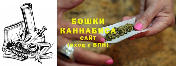 индика Верея