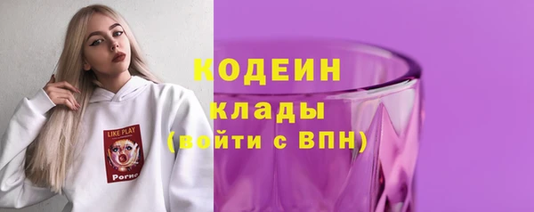 индика Верея