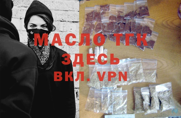 индика Верея