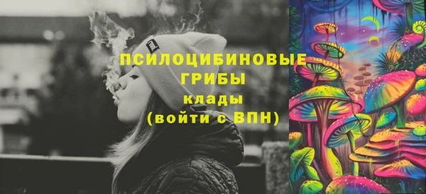 индика Верея
