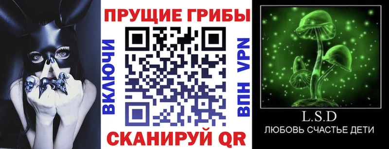 как найти закладки Березники darknet телеграм Псилоцибиновые грибы Magic Shrooms