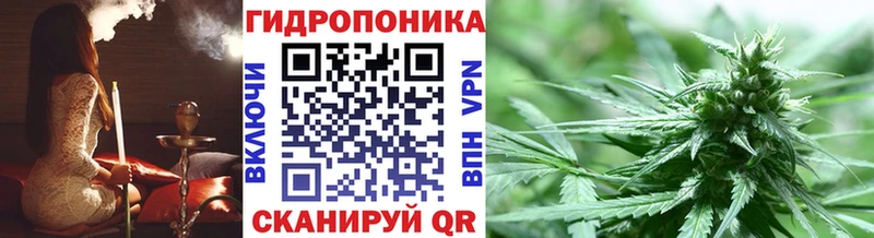 Бошки Шишки OG Kush Березники
